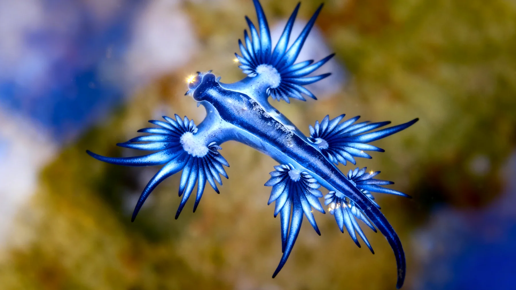 Beautiful 2026-03-05T12:32:13.101Z"